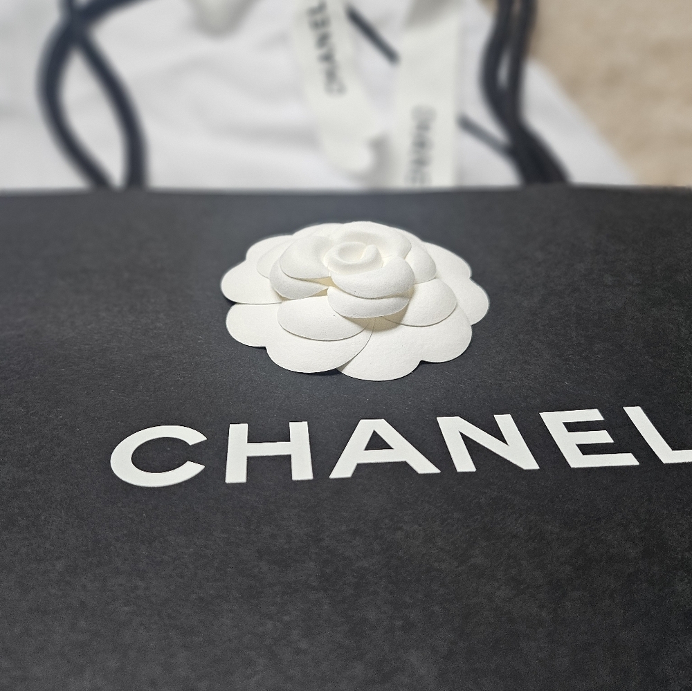 CHANEL garment bag, bag, bundle - Picture 8 of 11